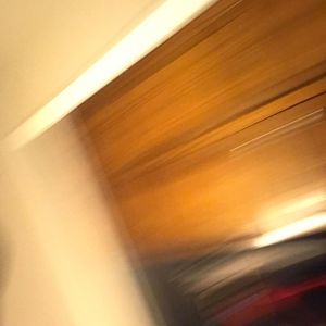 Meet your Posher, Levius